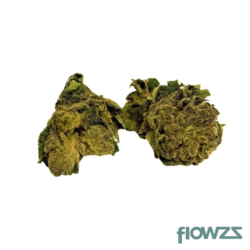 Cannabis Ärzte Verzeichnis - Experten & Kliniken bei flowzz