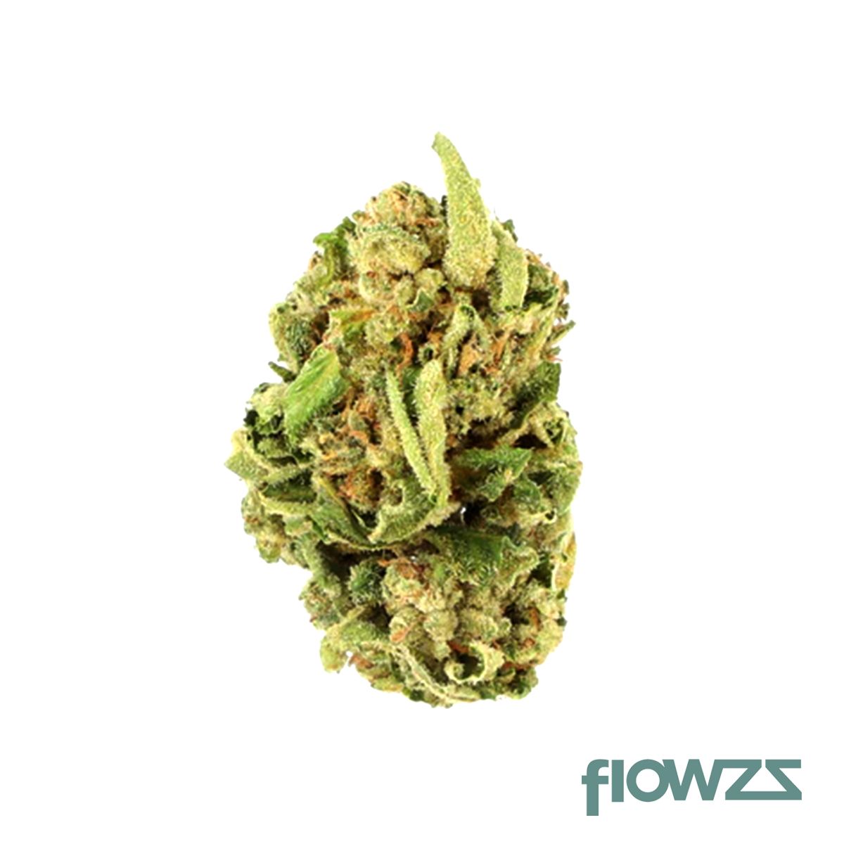 Cannabis Ärzte Verzeichnis - Experten & Kliniken bei flowzz